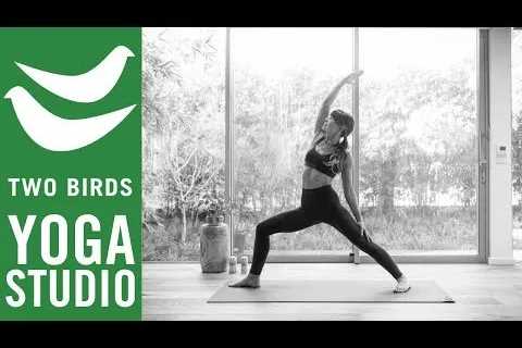 60 Minute Vinyasa Flow | Renew & Revitalise