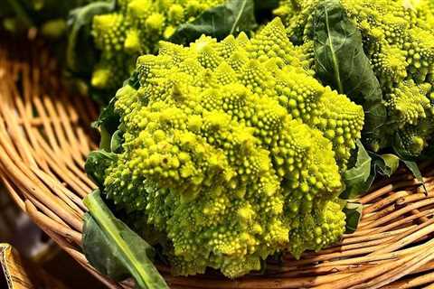 Healthy eating: Find out how you can add Romanesco broccoli to your plate