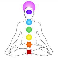 The Chakras of the Body