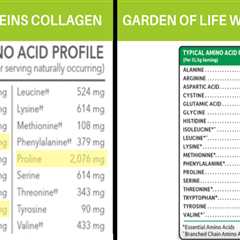Collagen vs. Whey Protein: A Comprehensive Guide