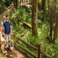 The Best Outdoor Running and Walking Trails near Fitness Centers in Clackamas County, OR