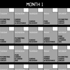 Transform Your Fitness Routine with INSANITY Workout Calendars and a FREE Sample Workout