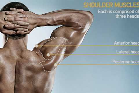 Unlock Your Strength: Master the Arnold Press Today