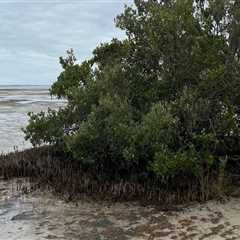 Unlocking the Benefits of Wellness Events in Pasco, Washington