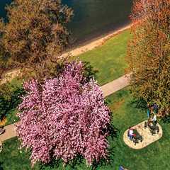 The Rise of Wellness Events in Pasco, Washington