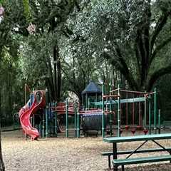 The Parking Situation at Sports Facilities in Leon County, Florida