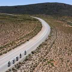 Histamine Intolerances, Mast Cells, Our Nervous System, and Liver with Dr. Jess Peatross