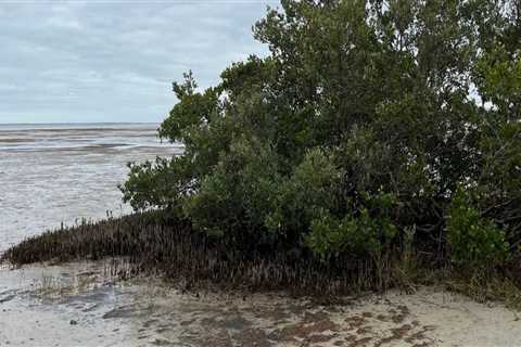 Unlocking the Benefits of Wellness Events in Pasco, Washington