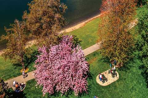 The Rise of Wellness Events in Pasco, Washington