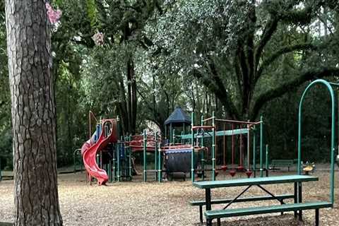 The Parking Situation at Sports Facilities in Leon County, Florida