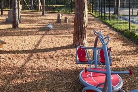 Exploring the Diverse Sports Scene in Leon County, Florida