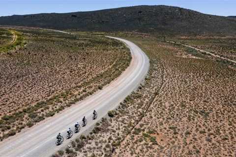 Histamine Intolerances, Mast Cells, Our Nervous System, and Liver with Dr. Jess Peatross